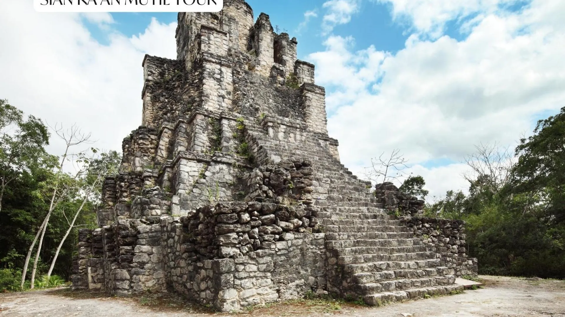 Lejlighed 2Br 2Ba Penthouse With Private Rooftop Terrace Tulum