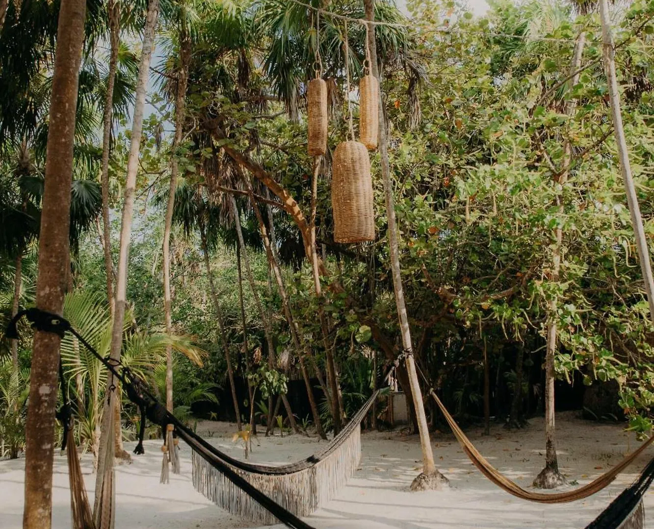 Lejlighed 2Br 2Ba Penthouse With Private Rooftop Terrace Tulum