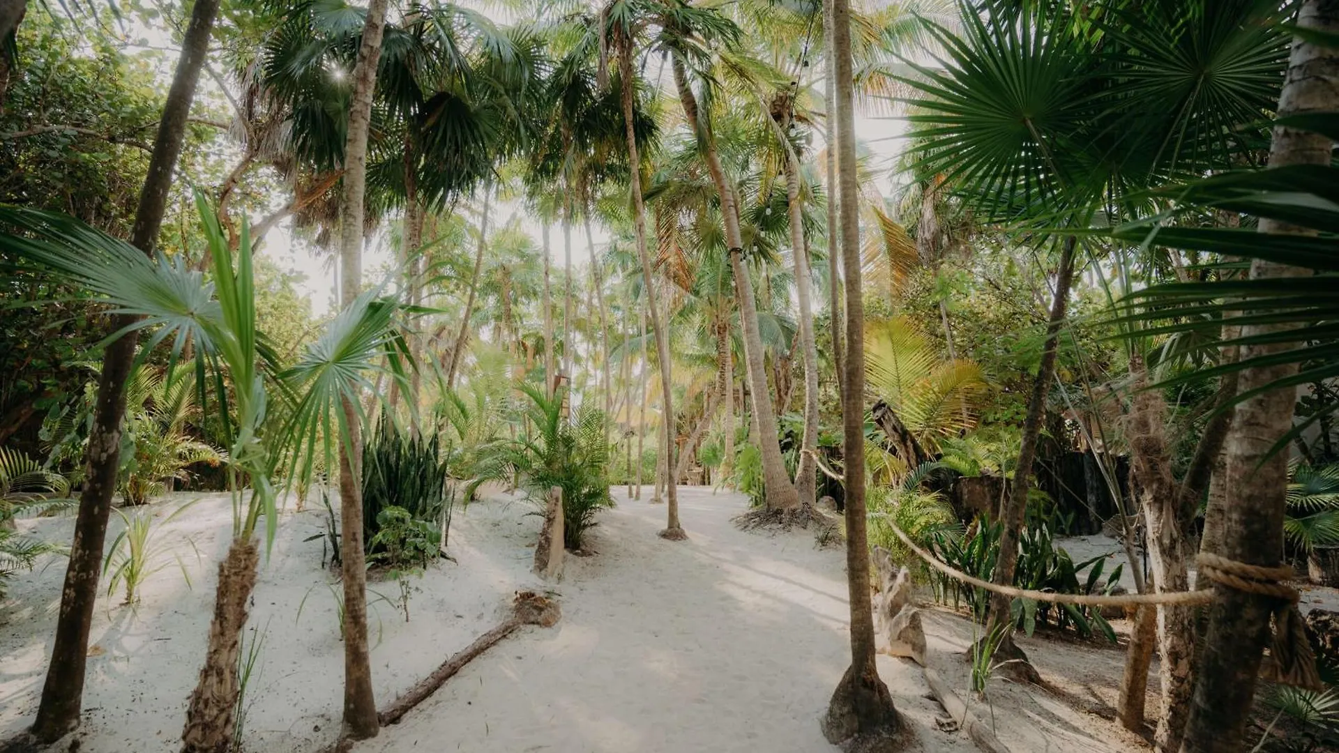2Br 2Ba Penthouse With Private Rooftop Terrace Tulum Mexico
