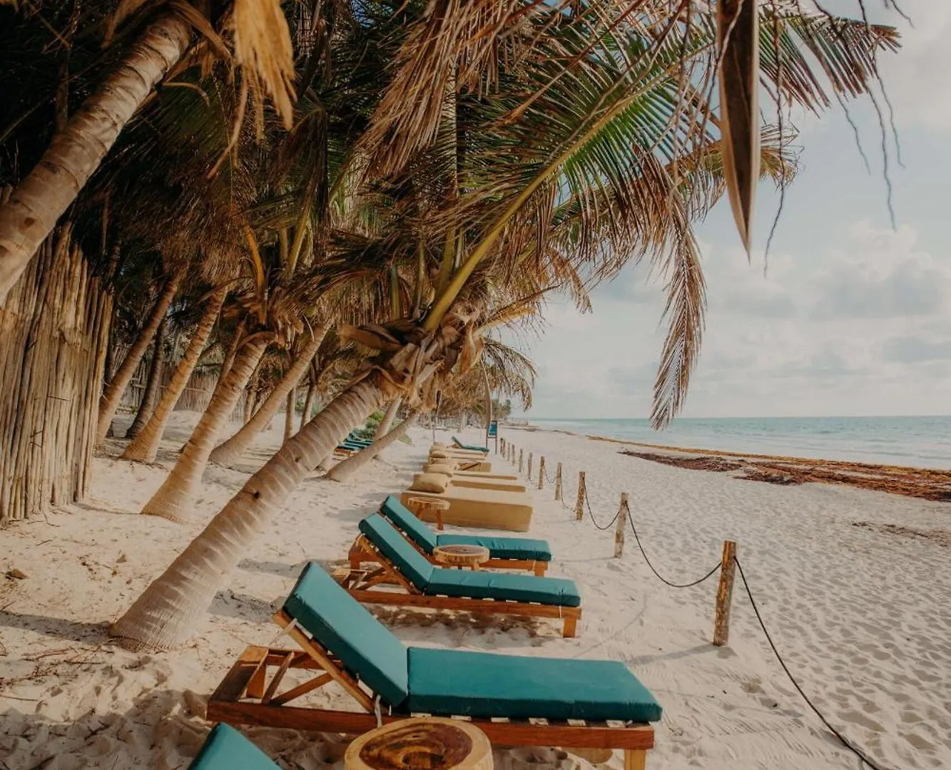 2Br 2Ba Penthouse With Private Rooftop Terrace Tulum